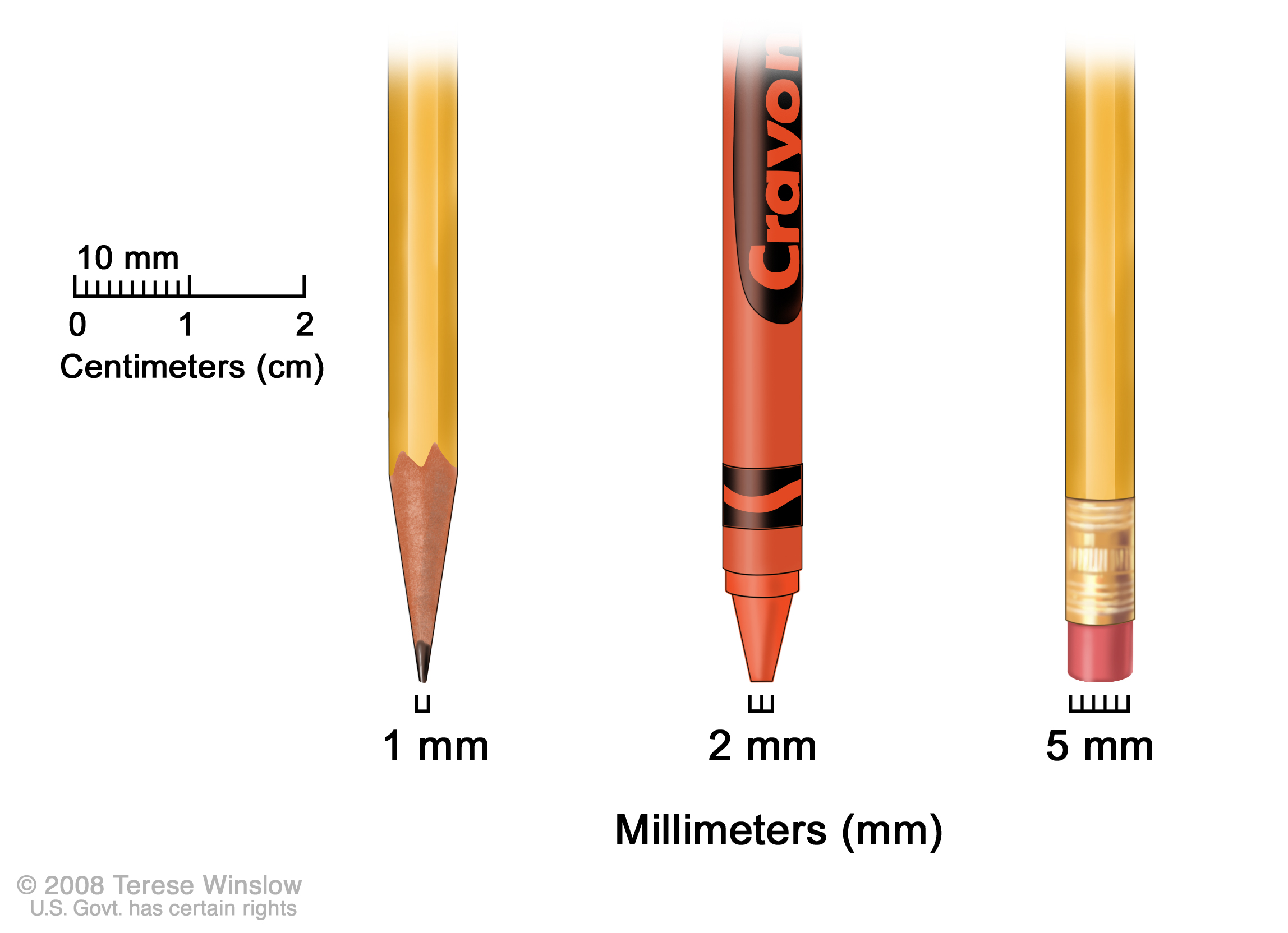 How Much Millimeter In One Foot